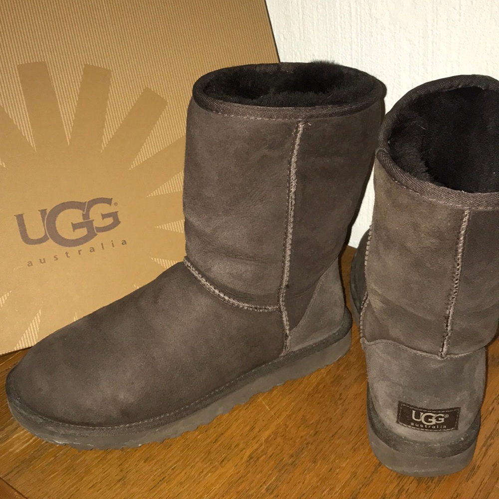 Classic short UGG boot - chocolate